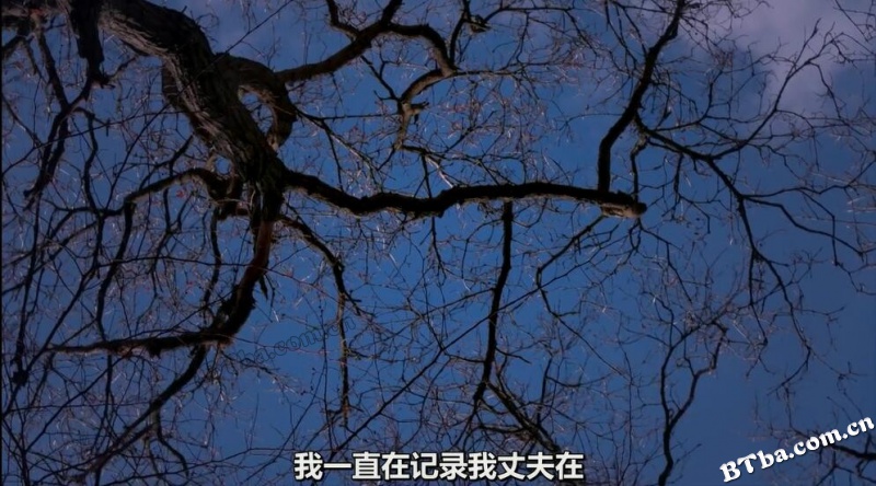 地平线系列：我的神奇大脑/Horizon - My Amazing Brain: Richard's War