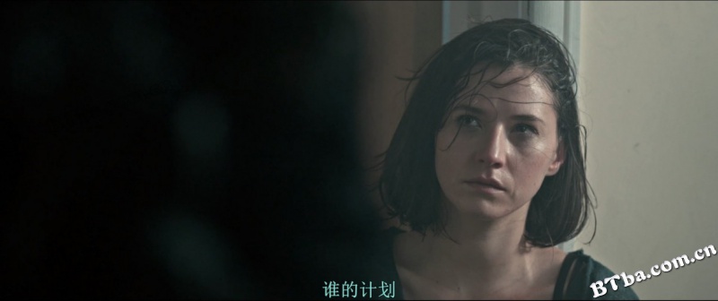 英伦对决/The Foreigner