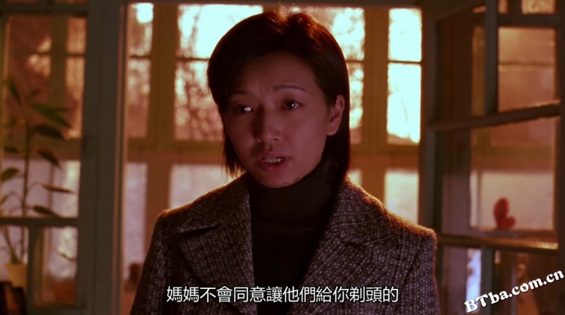 生死速递/九美狐