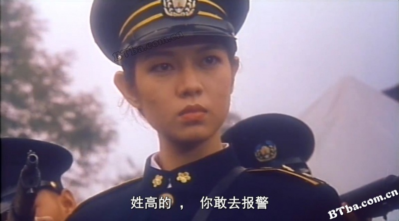 侠盗正传/侠盗廖添丁/义胆忠魂