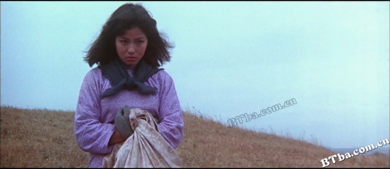 巡城马/The Postman Fights Back