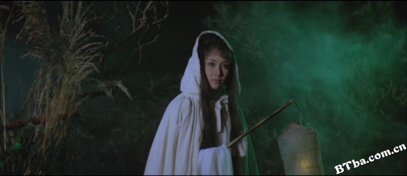 无翼蝙蝠/Bat Without Wings