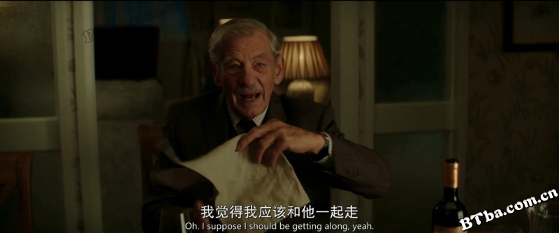 谎言大师/大说谎家(台)/骗局谎情(港)/The Good Liar