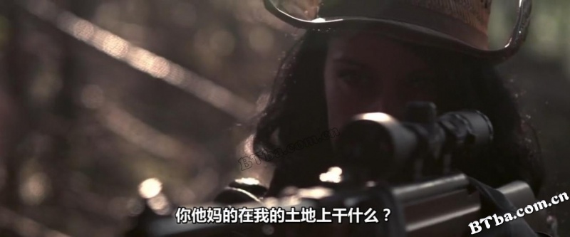 南瓜头/Pumpkins