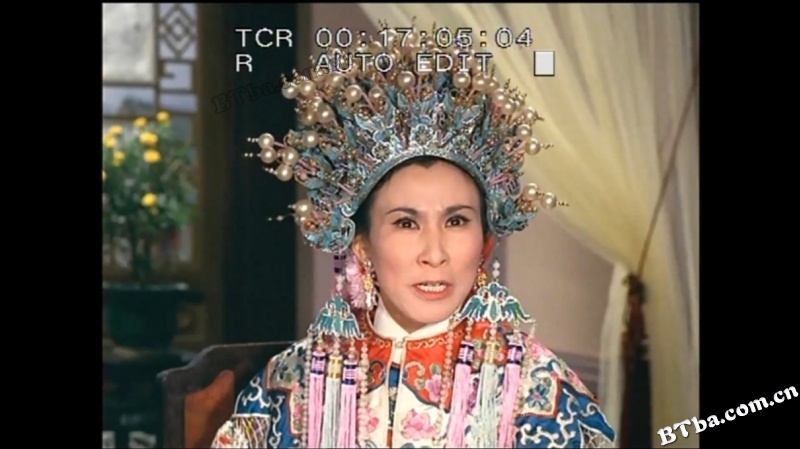 假婿乘龙