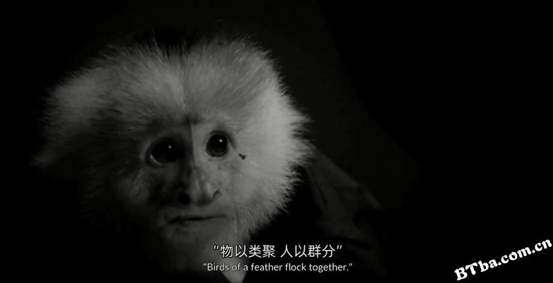 杰克做了什么？/What Did Jack Do?