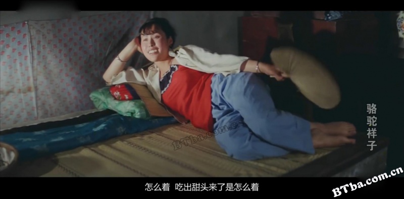 骆驼祥子