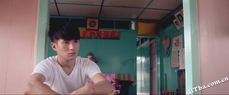 青春我爱你