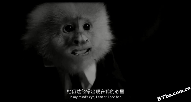 杰克做了什么？/What Did Jack Do?