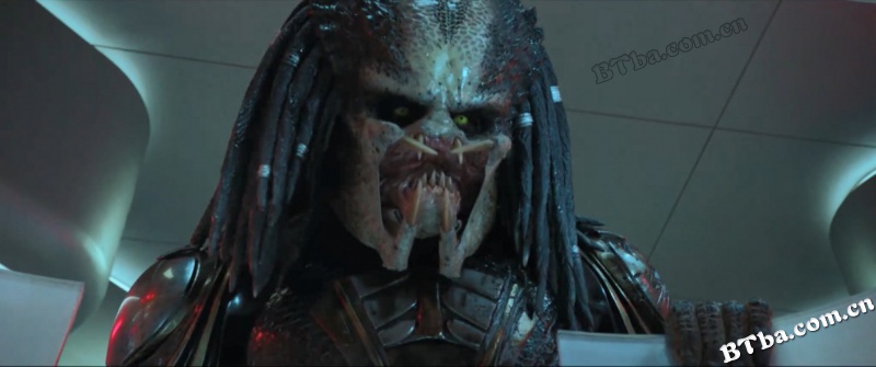 铁血战士/铁血战士新续集/终极战士：掠夺者(台)/The Predator
