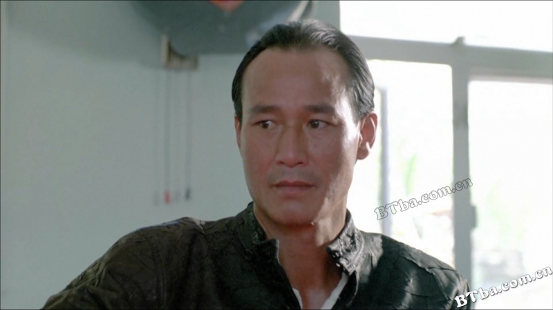我在黑社会的日子/义不容辞/Triads - The Inside Story