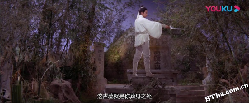 金燕子/Golden Swallow