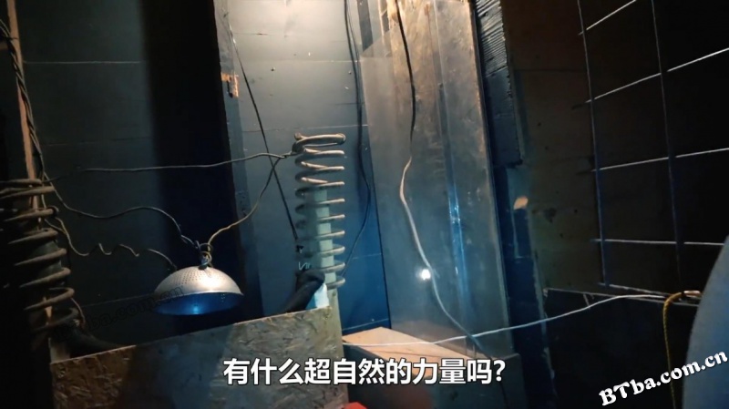 鬼屋/The Night House