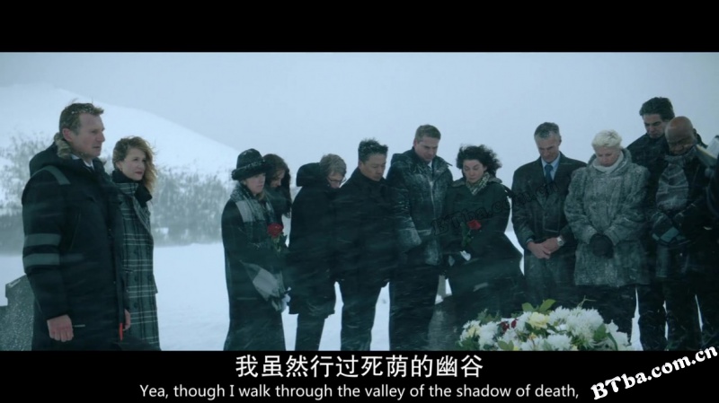 冷血追击/冰天动地(港)/酷寒杀手(台)/Cold Pursuit