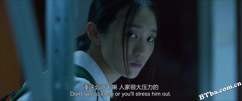 过春天/分隔线/佩佩