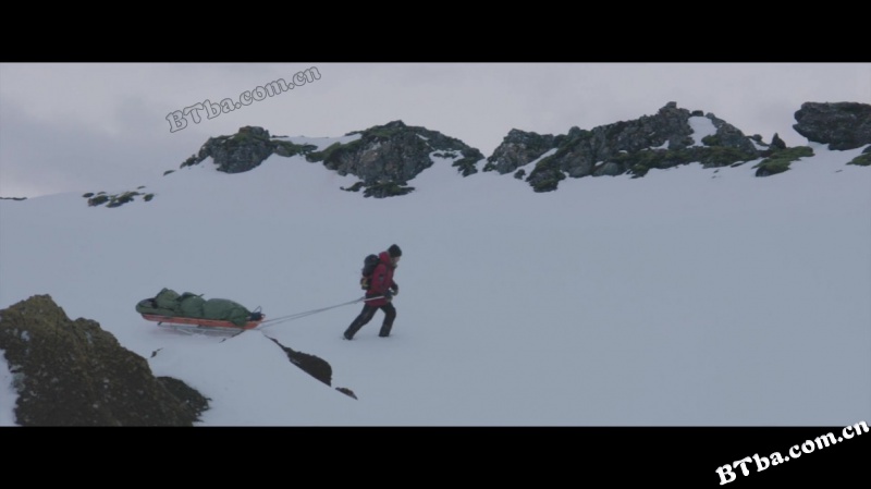 北极/Arctic