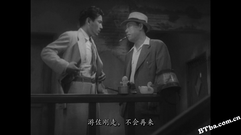 野良犬/Stray Dog