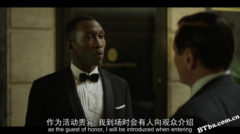 绿皮书/绿簿旅友(港)/幸福绿皮书(台)/Green Book