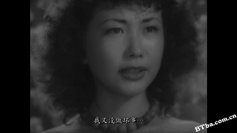 野良犬/Stray Dog