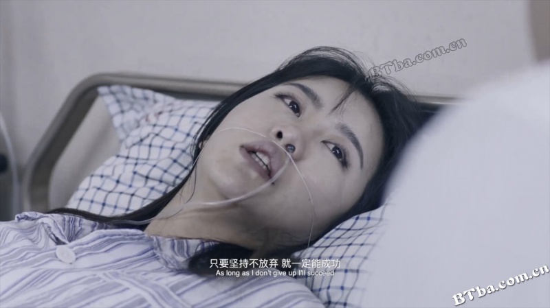 秘密菜园/Secret Vegetable Garden