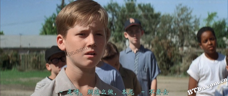 沙地传奇/难忘的夏天/The Sandlot