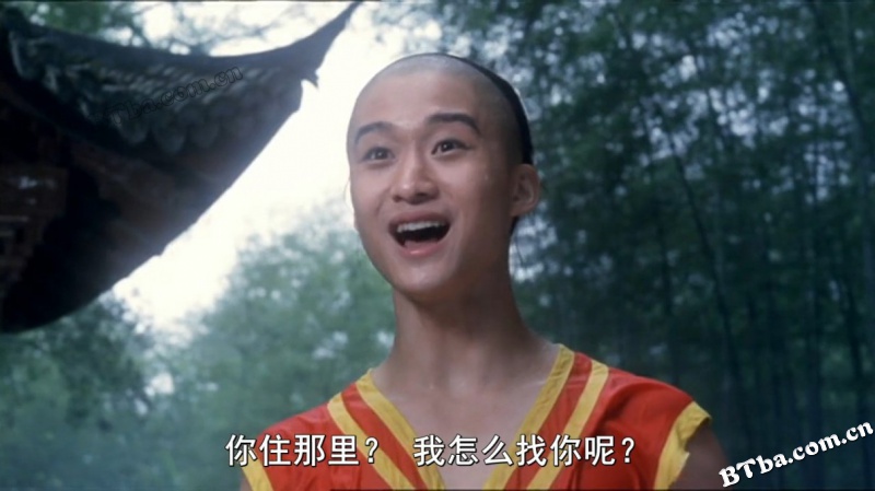 功夫小子闯情关/太极拳/Tai Chi Boxer