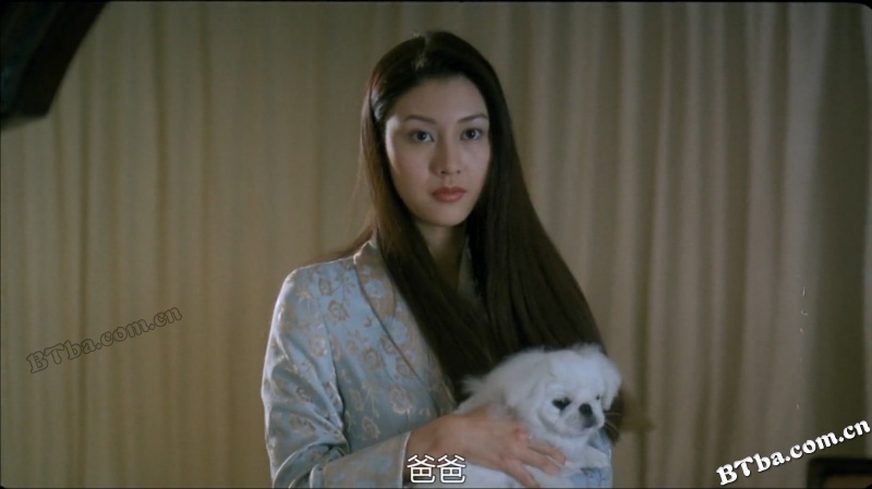 黑马王子/Prince Charming