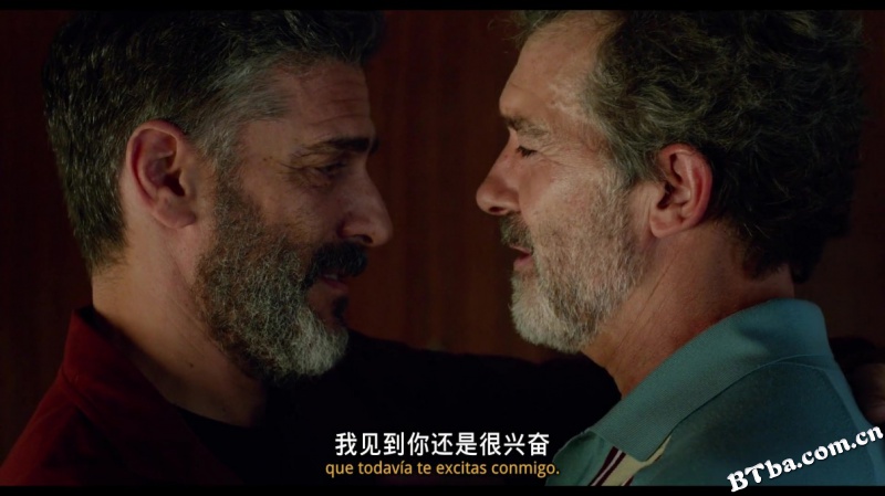 痛苦与荣耀/Dolor y gloria