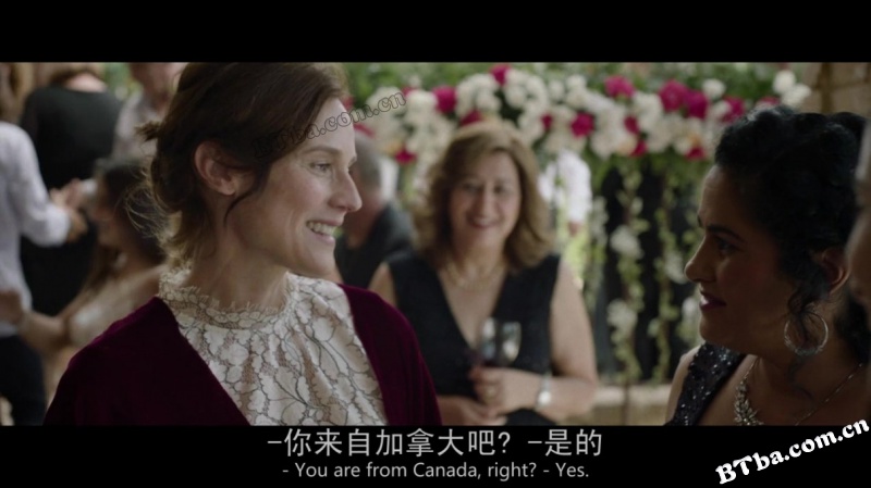 女特工/双面特务(台)/The Operative