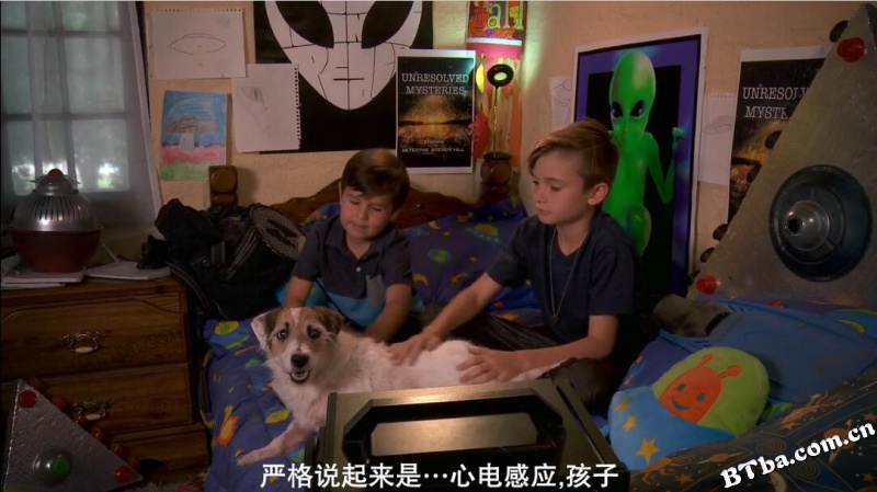 狗狗大侦探/A Doggone Adventure