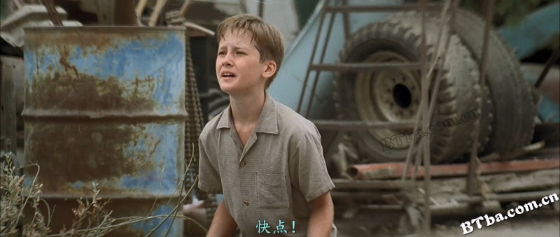 沙地传奇/难忘的夏天/The Sandlot