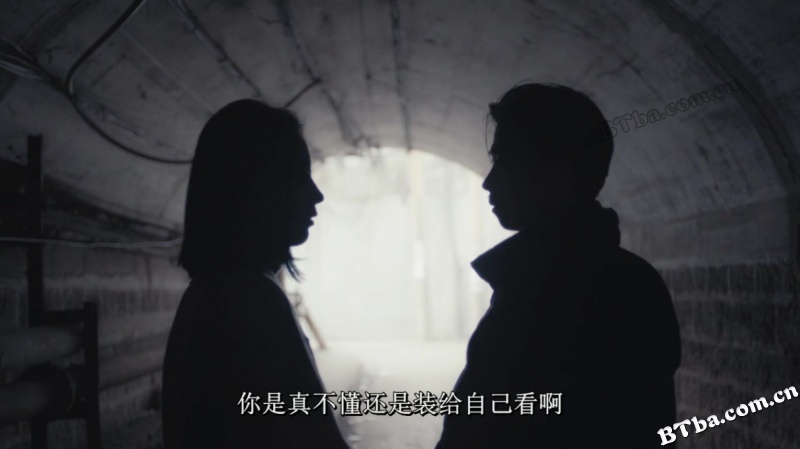 大象席地而坐/金羊毛/爱在樱花盛开时