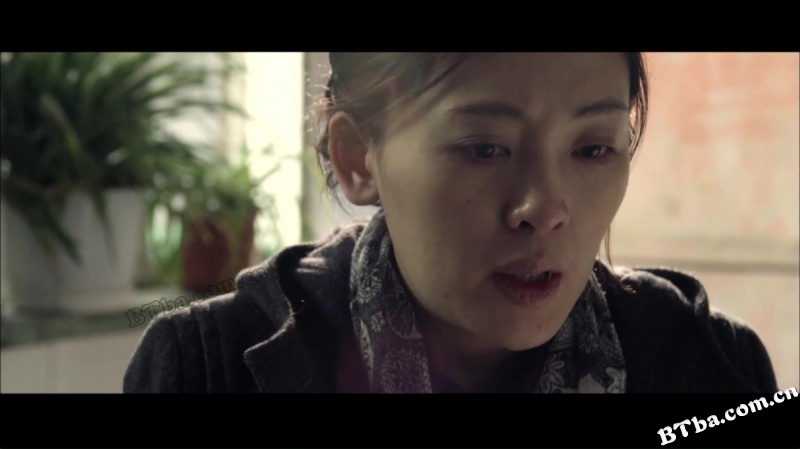 警察日记/Police Diary/To Live and Die in Ordos