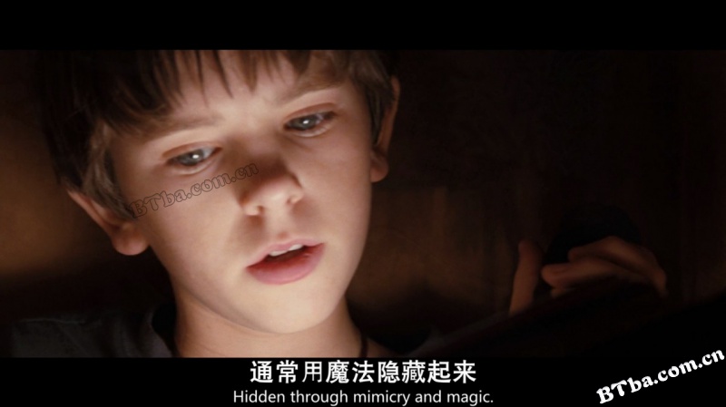 奇幻精灵历险记/奇幻精灵事件簿/史柏力魔怪书/The Spiderwick Chronicles 奇幻精灵历险记/奇幻精灵事件簿/史柏力魔怪书/The Spiderwick Chronicles