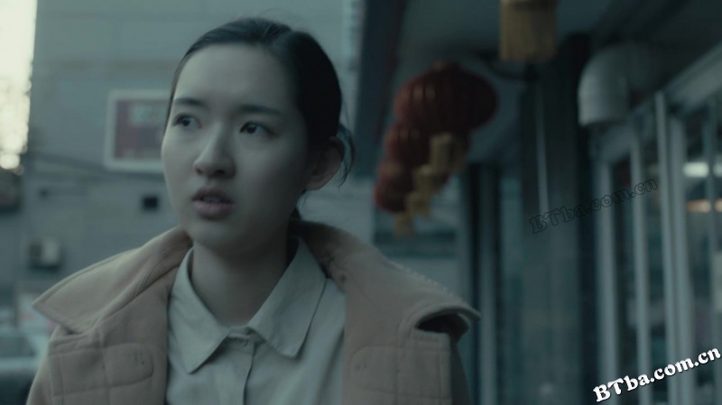 大象席地而坐/金羊毛/爱在樱花盛开时