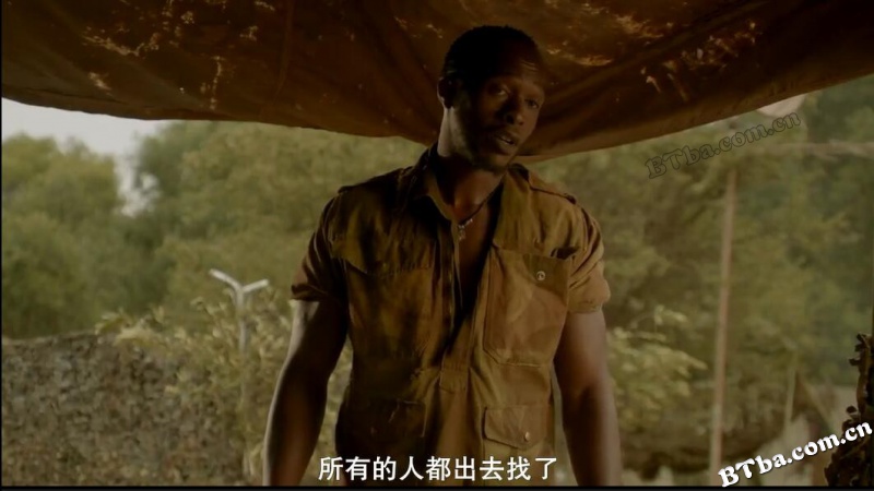 大象之旅/菲尼克斯韦尔德和巨象历险记/Phoenix Wilder and the Great Elephant Adventure