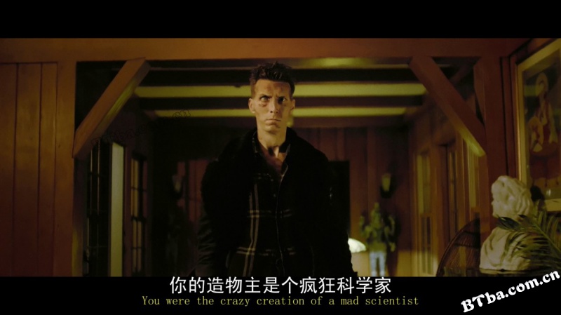 堕落街传奇 第三季/The Deuce Season 3 堕落街传奇 第三季/The Deuce Season 3