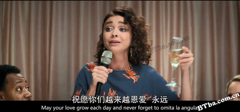 婚礼年/结婚年/The Wedding Year