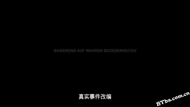 阿米蒂维尔谋杀案/The Amityville Murders
