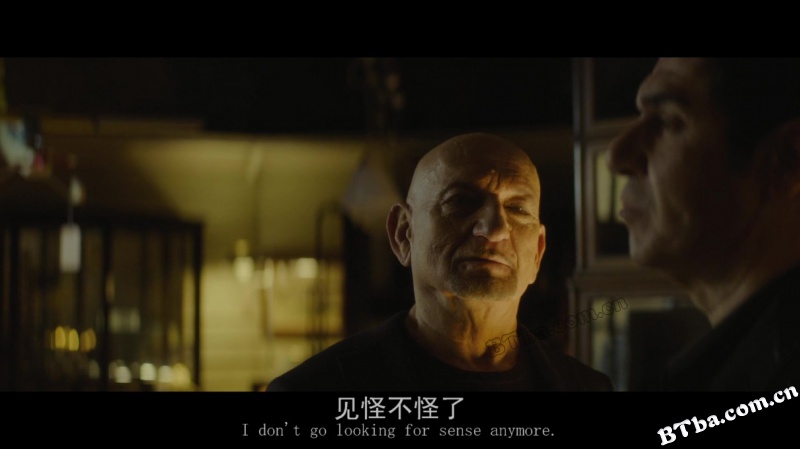 网中蜘蛛/网中蛛/Spider In The Web