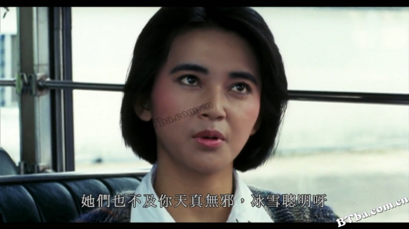 霸王花/霸王花与霸王花/Lady Enforcers