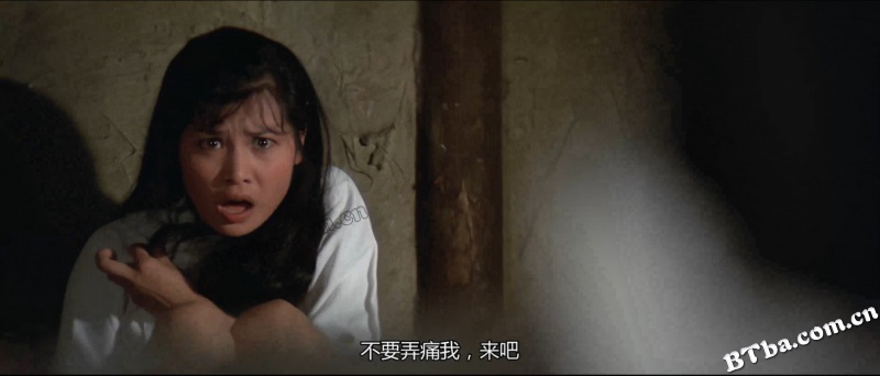 落叶飞刀/Fists of Vengeance