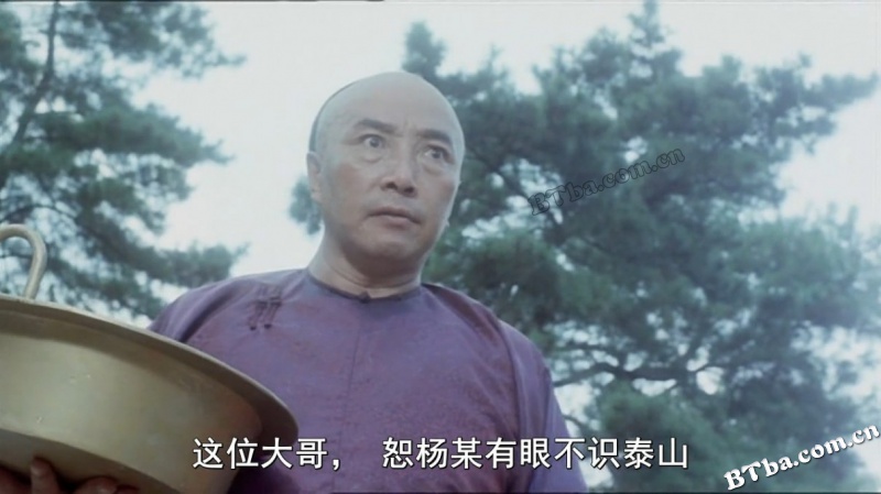功夫小子闯情关/太极拳/Tai Chi Boxer