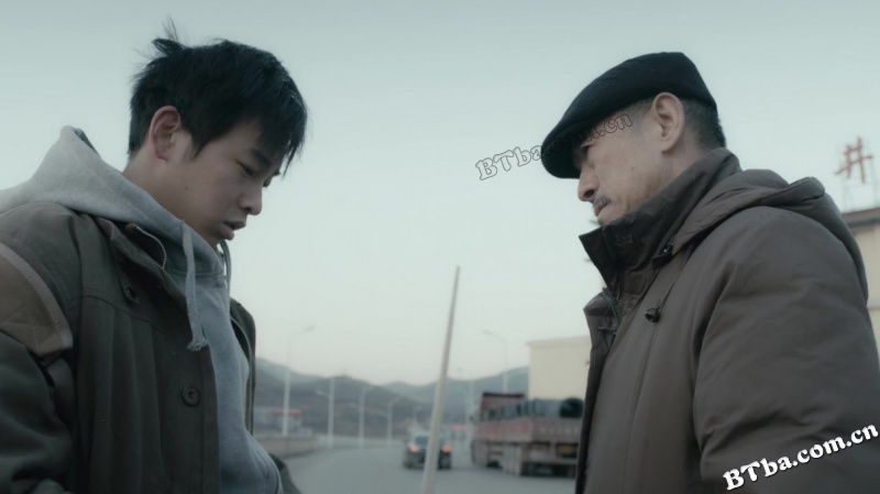 大象席地而坐/金羊毛/爱在樱花盛开时