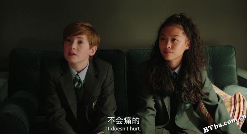 小小乔/Little Joe