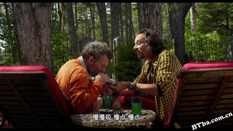 痛苦与荣耀/Dolor y gloria