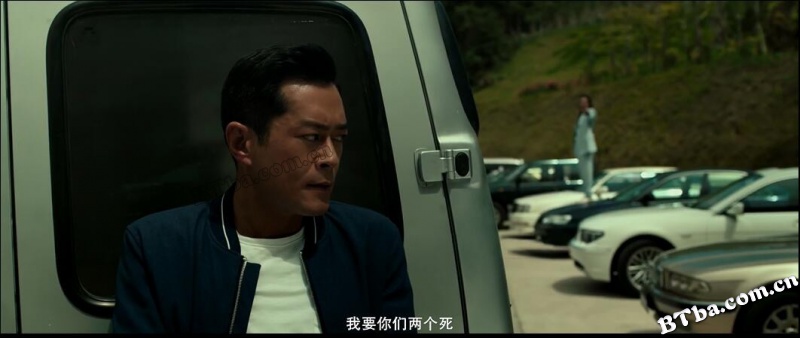 追龙Ⅱ/追龍2：贼王