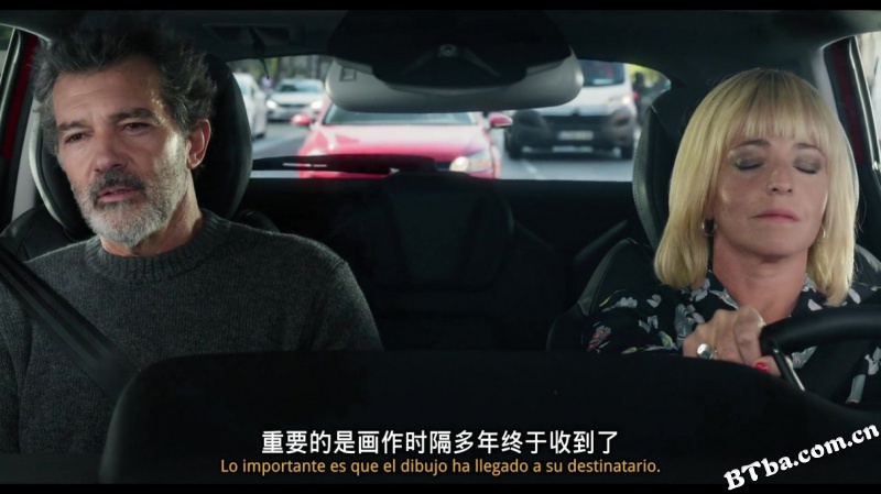 痛苦与荣耀/Dolor y gloria