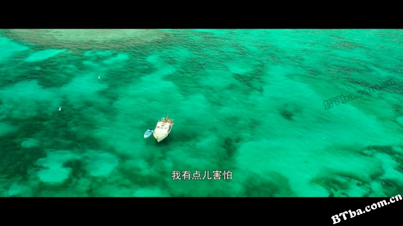 鲨海/深海逃生/深海鲨机(台)/47 Meters Down