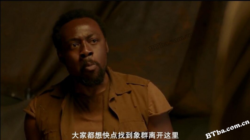 大象之旅/菲尼克斯韦尔德和巨象历险记/Phoenix Wilder and the Great Elephant Adventure